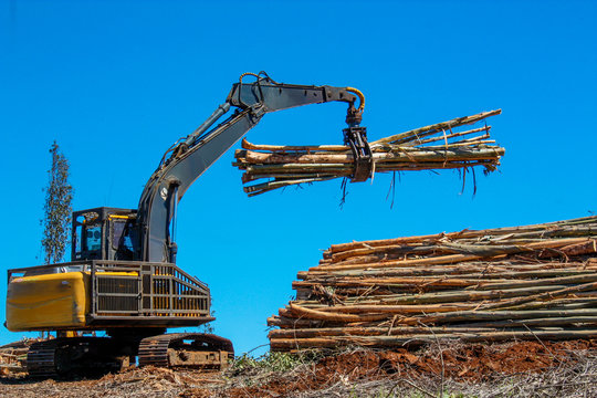 Logging Equipment