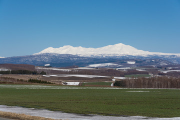 Fototapeta premium 春の畑作地帯と残雪の山並み 大雪山旭岳