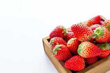 イチゴ　木箱に入ったフレッシュベリー