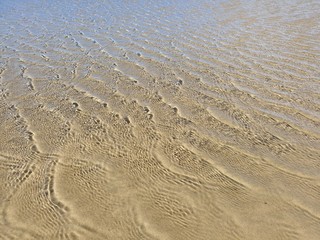 praia verão beira mar férias