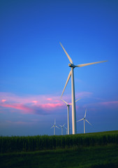 wind turbines in the field