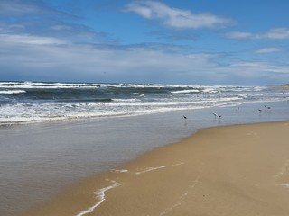 praia verão beira mar férias