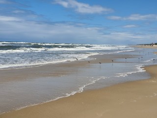 praia verão beira mar férias