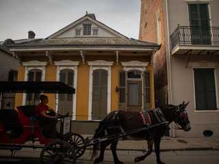 horse and carriage