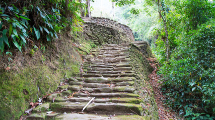 Ciudad perdida