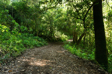 Fototapeta premium senderismo