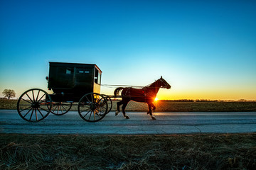 Fototapeta na wymiar Amish Buggy at Sunrise