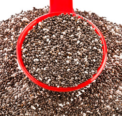 Chia seeds in a red plastic spoon on a white background. Top view.