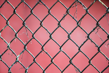 Fototapeta premium Metal mesh close-up on a red background