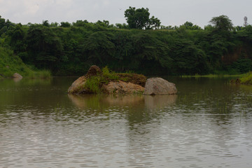 Abandon Sand Mine, change to beautiful landscape