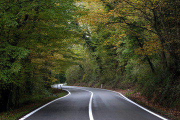 Road In Siena
