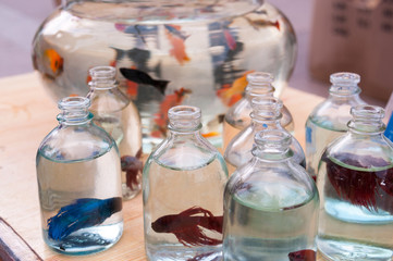 China, Heihe, July 2019: sale of fish in bottles on the street of the city of Heihe