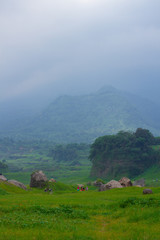 Abandon Sand Mine, change to beautiful landscape