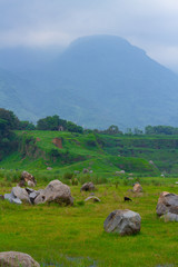Abandon Sand Mine, change to beautiful landscape