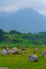 Abandon Sand Mine, change to beautiful landscape