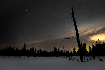 A winter scene with thin moonlit clouds in the night sky full of stars and the Northern Lights on...