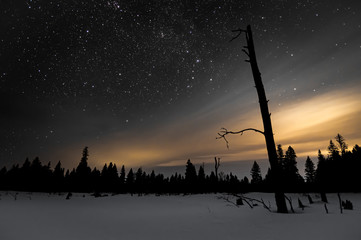 A winter scene with hazy moonlit clouds in the night sky full of stars.  One large dead tree in the...