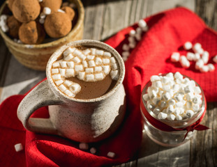 Pottery Mug of Hot Cocoa in Afternoon Sunlight