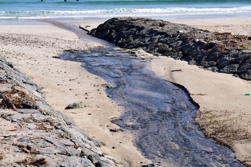 伊豆下田 白浜海岸 河口