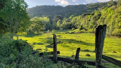 Potreiro, gramado, cercado para animais