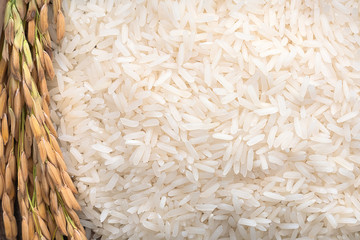 Long grain of rice and rice,White rice (Jasmine rice) thailand
