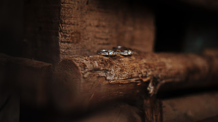 Rings on the wood