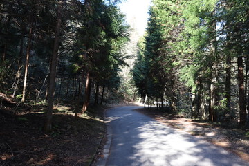 猿投山の登山の景色