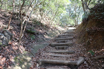 猿投山の登山の景色