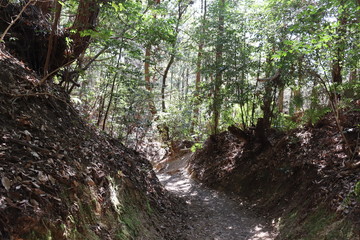 猿投山の登山の景色