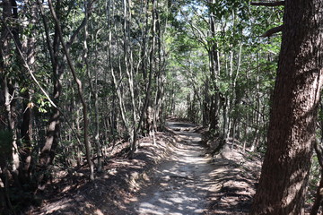 猿投山の登山の景色