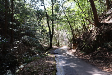 猿投山の景色