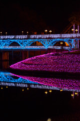 イルミネーション