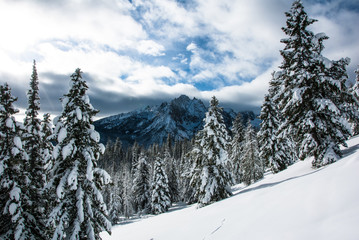 Fototapeta premium mountain skyline 