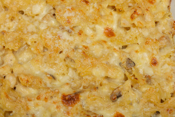 Rigatoni pasta with bolognese sauce and mozzarella baked in the oven 