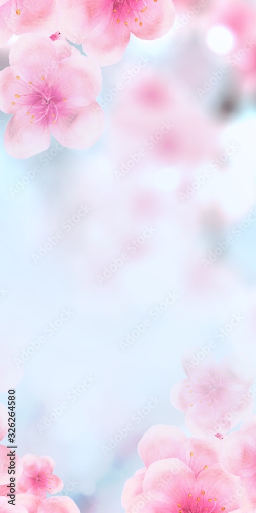 Wall mural vertical japanese spring sakura cherry blossoms 120x240 size website small skyscraper banner backgro