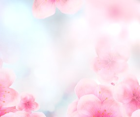 rectangular Japanese Spring Sakura cherry blossoms 336x280 size website square banner background. 3D Illustration Clip-Art with Floral spring petal design header. copy space in pink, white and blue