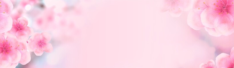 Fototapeta na wymiar horizontal Japanese Spring Sakura cherry blossoms 234x60 size website half banner background. 3D Illustration Clip-Art with Floral spring petal design header. copy space in pink, white and blue