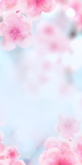 Naklejka na ściany i meble vertical Japanese Spring Sakura cherry blossoms 120x240 size website small skyscraper banner background. 3D Illustration Clip-Art floral spring petal design header. copy space in pink, white, blue