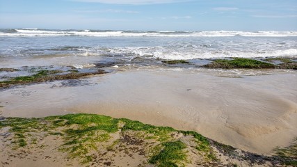 Fototapeta na wymiar rochas e musgo na praia