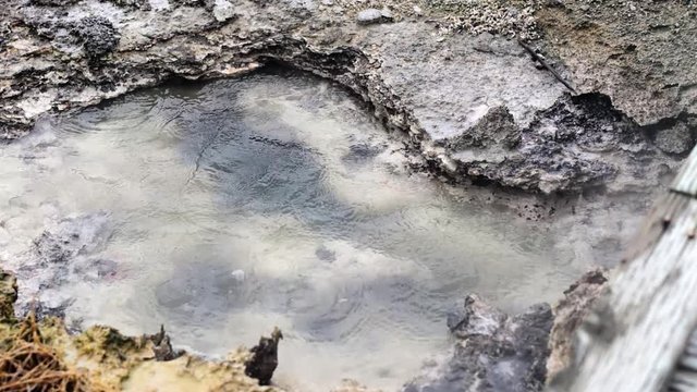 Bubbling geothermal geyser with steam and mud with mineral colors and algae mat