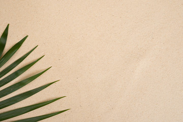Summer background with green palm leaves. Copy space