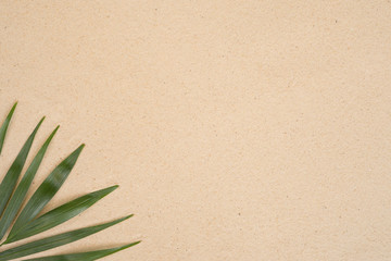 Summer background with green palm leaves. Copy space