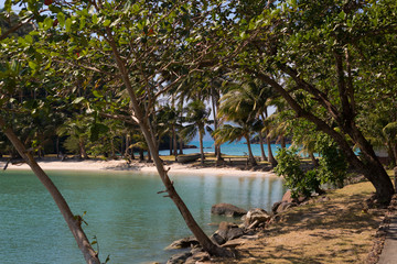 Tropical island on the sea beach with coconut palm trees.