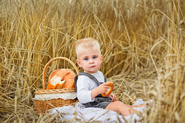 a boy on a picnic in a wheat field eats products from bread and rolls