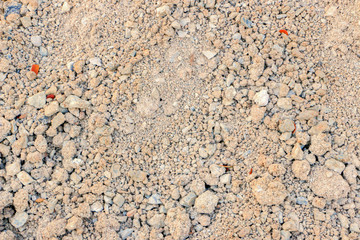 Sandy loam surfaces in agriculture