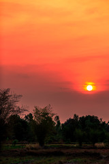 The background of the orange morning light is blurred by the wind or the mist blowing through, the beauty of nature