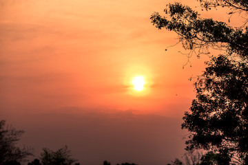 The background of the orange morning light is blurred by the wind or the mist blowing through, the beauty of nature