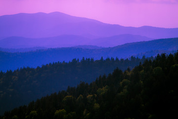 The Park is named for the mist or blue haze that surrounds the mountains resulting from the interaction between the moist environment of streams and waterfalls and the thick vegetation. The Cherokee