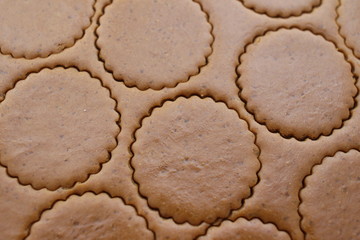 Cookie dough with round cut outs, close-up. Making homemade cookies