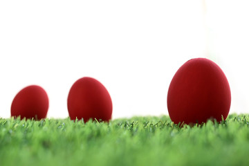 red easter egg on lawn green grass artificial with blank white background